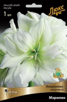 Амариллис махровый Мэрилин (в пакете 1 шт) луковичные (Голландия)