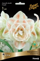 Амариллис махровый Нимф (в пакете 1 шт) луковичные (Голландия)