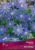 Анемона Бланда блу Шейдс (в пакете 10 шт) цена за пакет клубневые (Голландия) 
