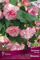 Бегония Каскад Флоренс оранжевая (в пакете 1 шт) клубневые (Голландия)