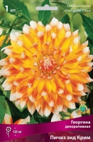 Георгина декоративная Пичез Энд Крим (в пакете 1 шт) клубневые (Голландия)