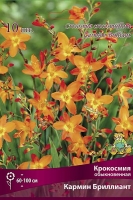 Крокосмия Кармин Бриллиант (в пакете 10 шт) цена за пакет клубнелуковичные (Голландия)