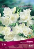 Фрезия гибридная махровая Вайт (в пакете 10 шт) цена за пакет клубнелуковичные (Голландия) 