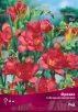 Фрезия гибридная махровая Ред (в пакете 10 шт) цена за пакет клубнелуковичные (Голландия) 