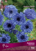 Анемона махровая Блу (в пакете 10 шт) цена за пакет клубневые (Голландия)
