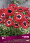 анемона махровая Ред (в пакете 10 шт) цена за пакет клубневые (Голландия)