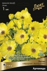 лютик гибридный Люкс Баттерфляй Артемида (в пакете 1 шт) корневищные (Голландия)