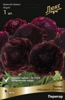 Лютик гибридный Люкс Романс Перигор (в пакете 1 шт) корневищные (Голландия)