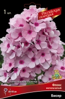 Флокс метельчатый Российская селекция Бисер (в пакете 1 шт) корневищные (Голландия)