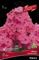 Флокс метельчатый Российская селекция Лариса (в пакете 1 шт) корневищные (Голландия)