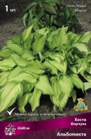 Хоста Форчуна Альбопикта (в пакете 1 шт) корневищные (Голландия)