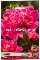 Пион махровый Анима (в пакете 1 шт) корневищные (Голландия)