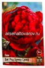 пион махровый Биг Ред Бумер Сунер (в пакете 1 шт) корневищные (Голландия)