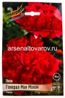 пион махровый Генерал Мак Мэхон (в пакете 1 шт) корневищные (Голландия)