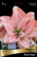 Амариллис махровый Пинк Глори (в пакете 1 шт) луковичные (Голландия)