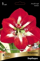 Амариллис простой Барбадос (в пакете 1 шт) луковичные (Голландия)
