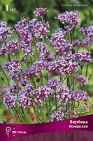 Вербена бонарская (в пакете 1 шт) корневищные (Голландия)