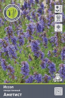 Иссоп лекарственный Аметист (в пакете 1 шт) корневищные (Голландия)