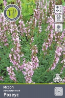 Иссоп лекарственный Розеус (в пакете 1 шт) корневищные (Голландия)