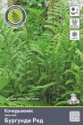 кочедыжник женский Бургунди Ред (в пакете 1 шт) корневищные (Россия)