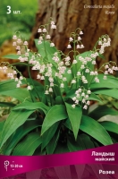 Ландыш майский Розеа (в пакете 1 шт) корневищные (Голландия)