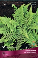 Лунокучник густосорусовый (в пакете 1 шт) корневищные (Россия)