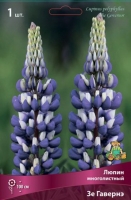 Люпин многолистный Зе Гавернэ (в пакете 1 шт) корневищные (Голландия)