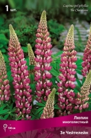 Люпин многолистный Зе Чейтелейн (в пакете 1 шт) корневищные (Голландия)