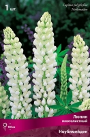 Люпин многолистный Ноублмейден (в пакете 1 шт) корневищные (Голландия)