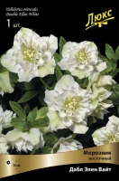 Морозник восточный махровый Дабл Элен Вайт (в пакете 1 шт) корневищные (Голландия)