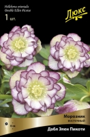 Морозник восточный махровый Дабл Элен Пикоти (в пакете 1 шт) корневищные (Голландия)