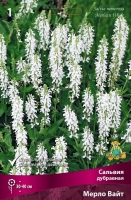 Сальвия дубравная Мерло Вайт (в пакете 1 шт) корневищные (Голландия)