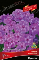 Флокс метельчатый Российская селекция Мулатка (в пакете 1 шт) корневищные (Голландия)