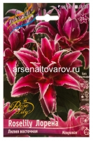 Лилия для выгонки восточная махровая Лорена 16/18 (в пакете 3 шт) цена за пакет луковичные (Голландия)