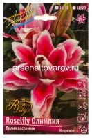 Лилия для выгонки восточная махровая Олимпия 16/18 (в пакете 3 шт) цена за пакет луковичные (Голландия)