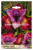 Ирис сибирский Суитер Стилл (в пакете 1 шт) корневищные (Голландия)