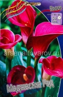 Калла Маджестик Ред (в пакете 2 шт) цена за пакет клубневые (Голландия)