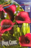 Калла Ред Сокс (в пакете 2 шт) цена за пакет клубневые (Голландия)