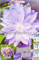 Клематис махровый Денниз Дабл (в пакете 2 шт) цена за пакет корневищные (Голландия)