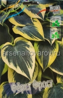 Хоста Ферст Фрост (в пакете 1 шт) корневищные (Голландия)