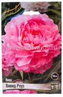 Пион махровый Вивид Роуз (в пакете 1 шт) корневищные (Голландия)