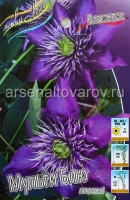 Клематис махровый Мульти Блю (в пакете 2 шт) цена за пакет корневищные (Голландия)