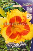 Лилейник Фулед Ми (в пакете 1 шт) корневищные (Голландия)