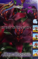 Лилия азиатская Дарк Секрет (в пакете 5 шт) цена за пакет луковичные (Голландия)