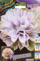 Клематис махровый Руриокоши (в пакете 1 шт) корневищные (Голландия)