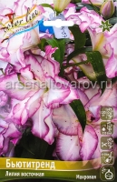 Лилия восточная махровая Бьютитренд (в пакете 3 шт) цена за пакет луковичные (Голландия)