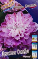 Клематис махровый Дансинг Смайл (в пакете 1 шт) корневищные (Голландия)