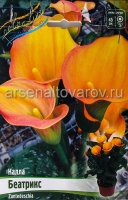 Калла Беатрикс (в пакете 2 шт) цена за пакет клубневые (Голландия)