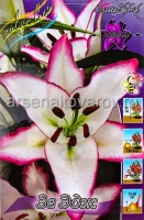 Лилия восточная Зе Эдж (в пакете 5 шт) цена за пакет луковичные (Голландия)