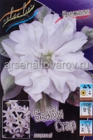 Клематис махровый Бейби Стар (в пакете 1 шт) корневищные (Голландия)